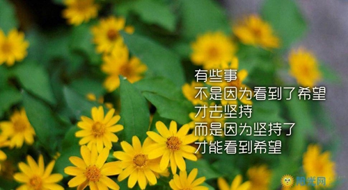 美女萝莉头像照片10