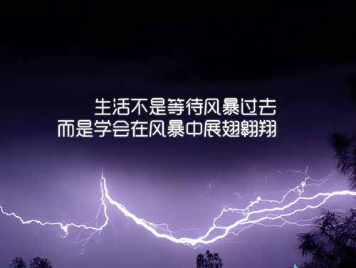 企鹅微信头像图片1
