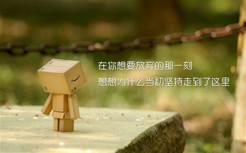 头像动物柴犬搞笑2