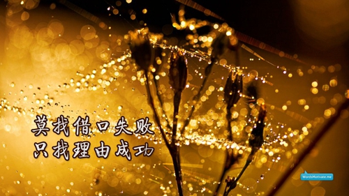 经典游戏人物头像9