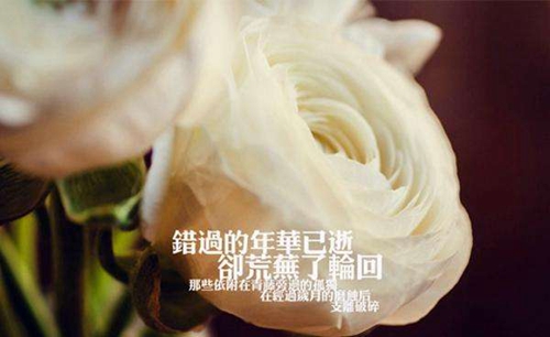 美女萝莉头像照片7