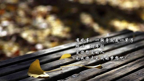 韩国女星搞怪头像9