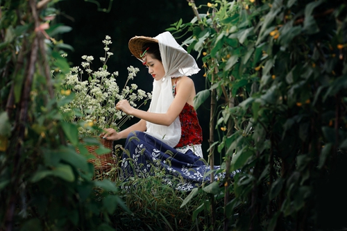 just let me konw DJ铃声舞曲