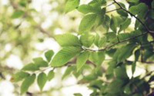 最烈的酒 中文连版串烧