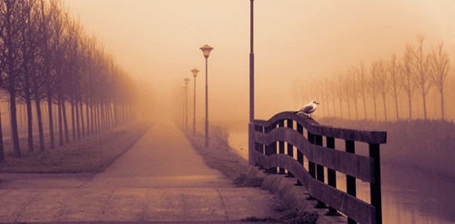 100高潮再起 Trap  Akon - I Wanna Love You (Stavros Martina Remix Dirty)