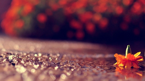 124 打榜好节奏 Y2K & bbno x Ramirez - LaLaLa