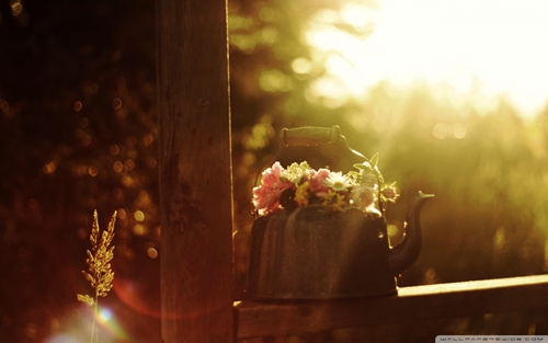 123 舒适榜单 Filatov Karas - Au Au