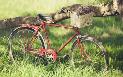 122 王室 Vertigini - Street Dancer