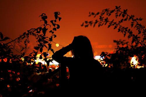 115 新电 Damitrex & Eminem - Without Me