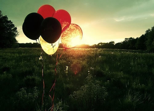 Night Flying Taru 铃声