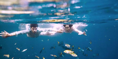 RNC Mix - 凉凉 Techno - The Defender Team