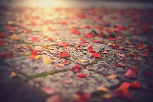 最嗨的dj《四块五的妞》全国语Electro音乐DJ串烧