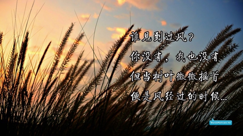 文艺情话