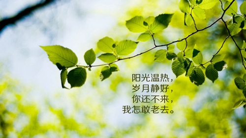 感慨亲情句子说说心情