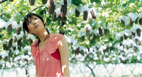 用祝福的话送给孕妇妈妈