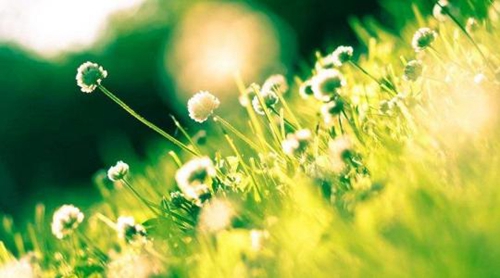 分手了还发短信来