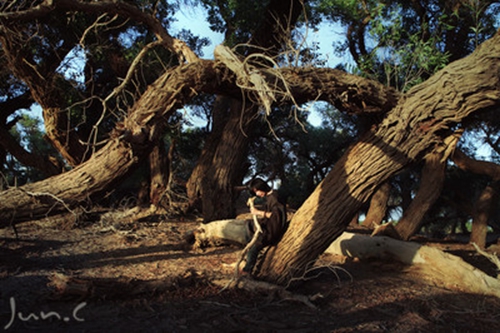 拉入黑名单伤感的话-形容爱情美好说说心情短语 
