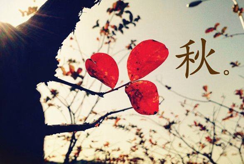 毕业离别的唯美句子短句 毕业离别的唯美句子短句