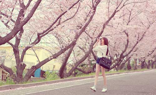 —等、吗》？提供《vip顾客节日问候短信》 
