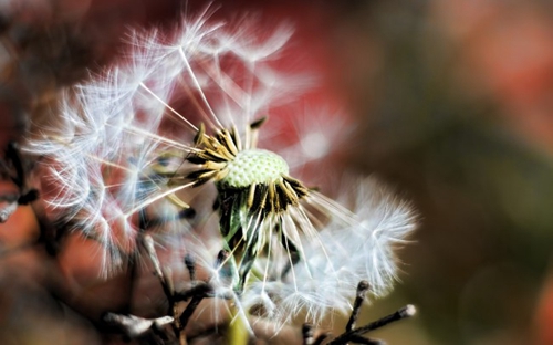 退休老师教师节的祝福语怎么说
