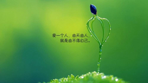 祝福领导的诗句和名言 祝福领导的诗句和名言